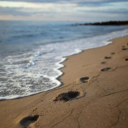 Im Seepark * Sellin (Rugen)